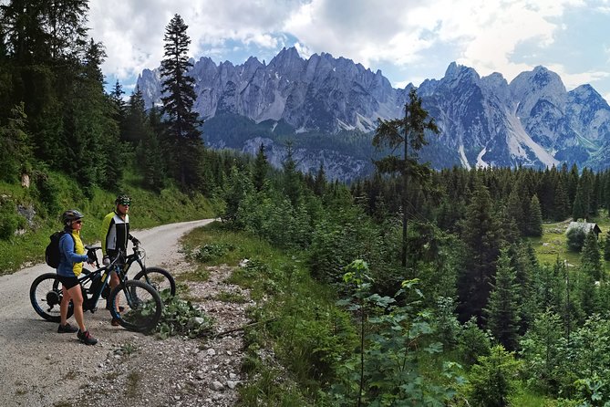 Guided e-bike tour of the alpine pastures in the Salzkammergut - Badstumhütte and the Gosau grinding stone quarry
