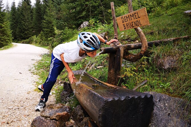 Guided e-bike tour of the alpine pastures in the Salzkammergut - Roßalm, a gentle pause before Gosausee