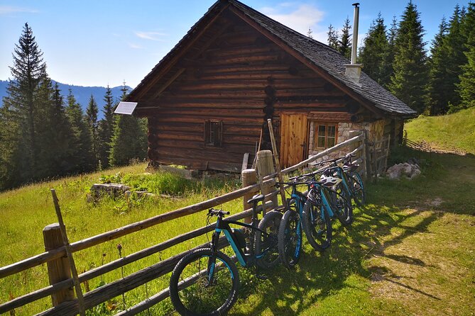 Guided e-bike tour of the alpine pastures in the Salzkammergut - Starting in Gosau at 10 a.m.
