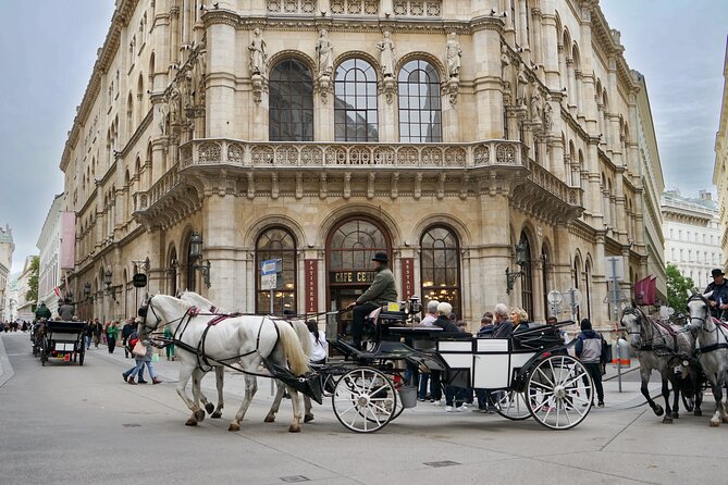 Guided Walking Tour of Vienna City Center Highlights - Albertina Museum and the value of an exterior stop