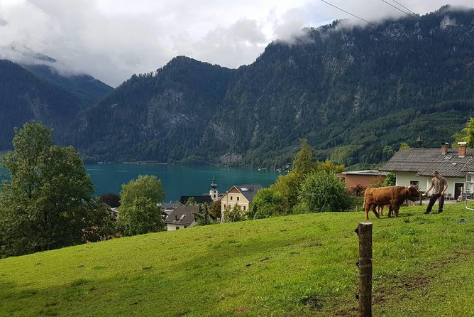 Hallstatt Small-Group Day Trip from Vienna - What $229.77 buys you