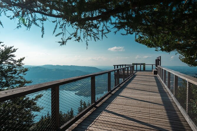 Immersive Private Tour: Hallstatt After the Crowds & Treetop Path - Gmunden and the calm side of Traunsee