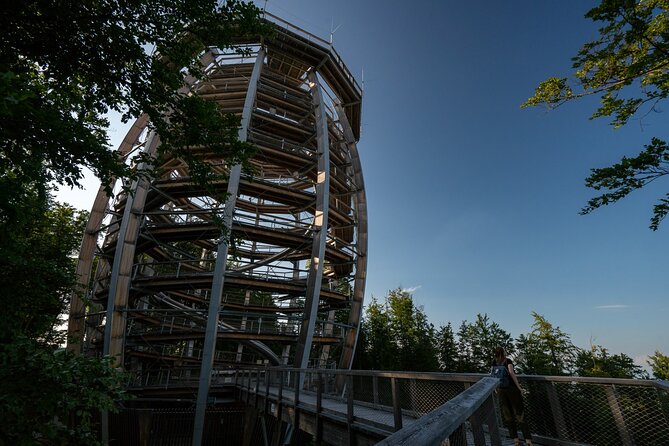 Immersive Private Tour: Hallstatt After the Crowds & Treetop Path - The Salzkammergut treetop path and its 39-meter tower