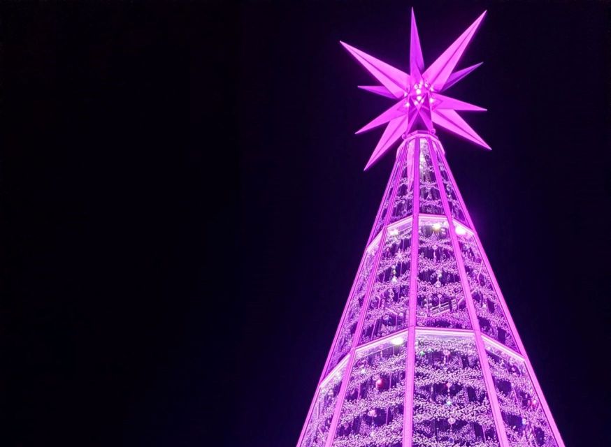 Innsbruck: Christmas Tour with a licensed guide - Maria-Theresien-Straße changes the mood