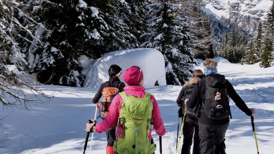 Innsbruck: Priv. Guided Snowy Mountain Hike /Snowshoe´s - A private snow day instead of a fixed sightseeing tour