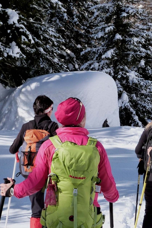 Innsbruck: Priv. Guided Snowy Mountain Hike /Snowshoe´s - Hochmahd, Patscheralm, and Boscheben