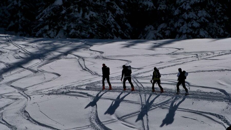 Innsbruck: Priv. Guided Snowy Mountain Hike /Snowshoe´s - The quiet side of Tyrol