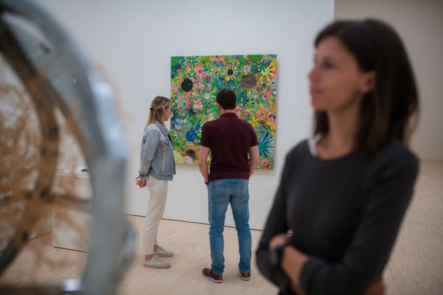Krems: Super Combo Ticket to Kunstmeile Krems - Cartoon Museum Krems keeps the visit light