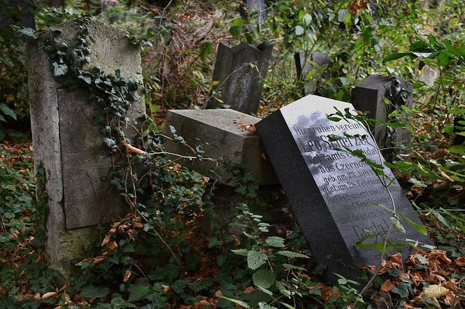 Mobile puzzle rally tour at the Vienna Central Cemetery - Why Vienna’s Central Cemetery Makes a Good Puzzle Setting