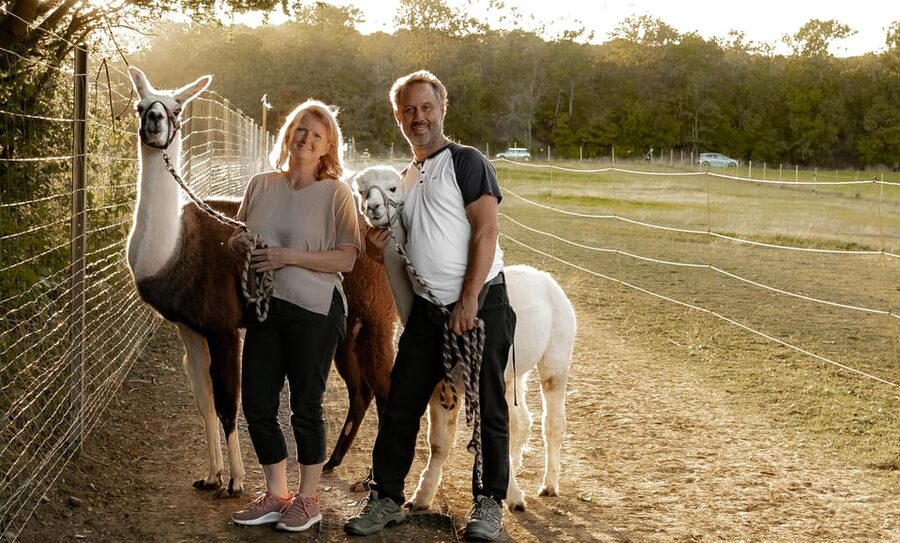 Mödling/Vienna: Scenic Guided Hike with Alpacas and Llamas - Who should book this animal walk