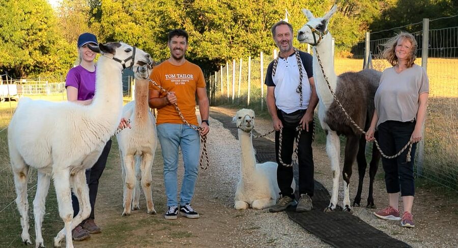 Mödling/Vienna: Scenic Guided Hike with Alpacas and Llamas - Shoes, weather, and useful packing advice