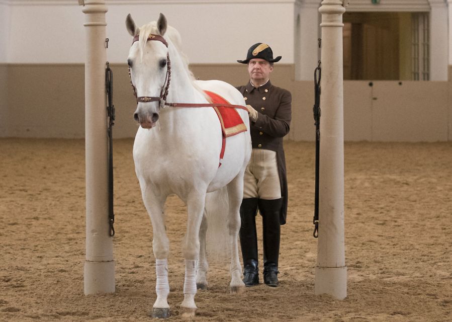 Performance Of The Lipizzans At Spanish Riding School - The High School exercises: capriole, Levade, and control