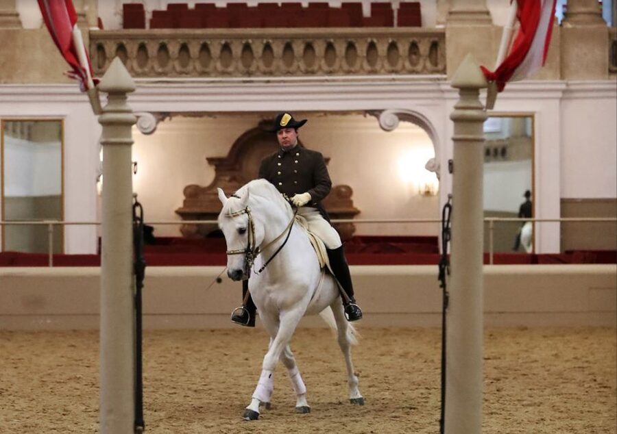 Performance Of The Lipizzans At Spanish Riding School - Who will enjoy this experience most