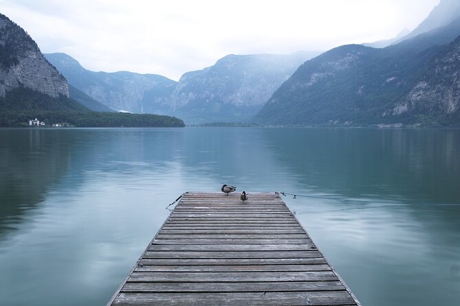 Private Day Tour to Salzburg Hallstatt and Melk from Vienna - Driver, guide, and vehicle expectations
