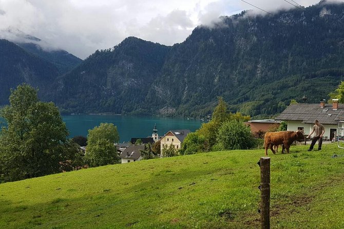 Private Day Trip from Vienna to Hallstatt - Three and a half hours in Hallstatt