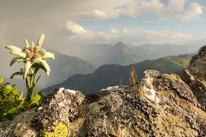 Private Eagle's Nest & The Hills are Alive - Marktschellenberg and the Austrian countryside
