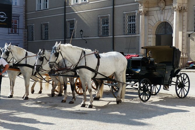 Private full day tour to Salzburg from Vienna with a local guide - St. Peter’s Abbey, the cathedral, and the Archbishop’s Palace