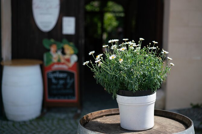 Private Guided Full Day Tour to charming Burgenland region with Wine tasting - Who will get the most from this day?