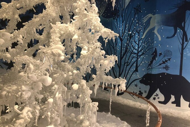 Private Half-day Tour to Swarovski Crystal World in Wattens - Booking details that affect your day