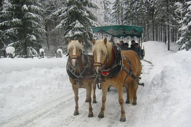 Private Horse-Drawn Sleigh Ride from Salzburg - Key points to know before booking