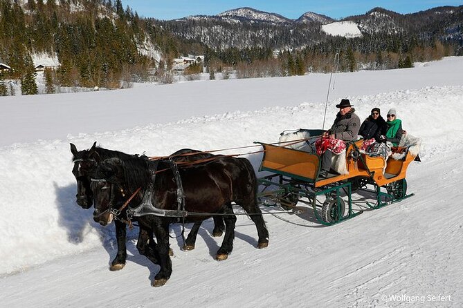 Private Horse-Drawn Sleigh Ride from Salzburg - What the 50-minute sleigh ride feels like