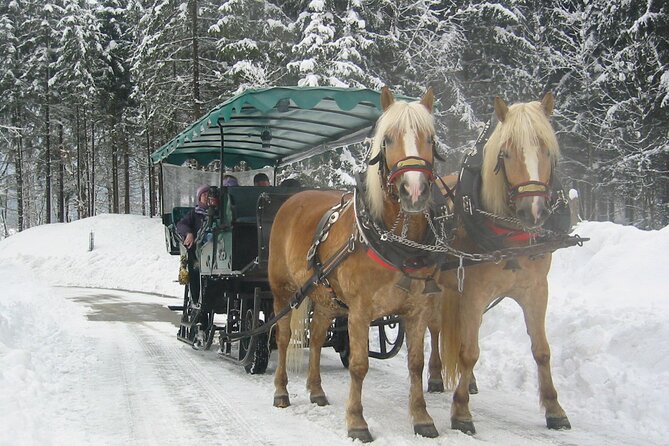 Private Horse-Drawn Sleigh Ride from Salzburg - Stops for coffee, schnapps, and Austrian atmosphere