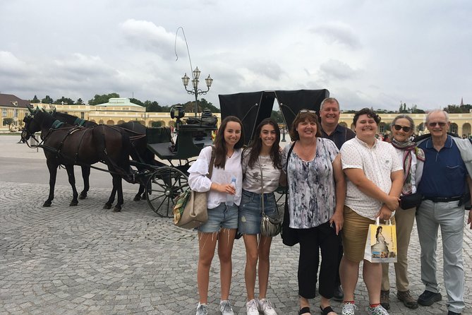 Private Schönbrunn Palace and Gardens Tour - Walking through the Baroque gardens