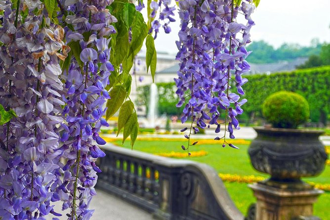Private Transfer from Munich to Salzburg, English-speaking driver - What the driver does, and what the driver does not do