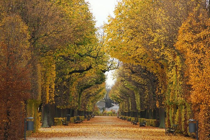 Private transfer from Salzburg to Vienna, 2 hours for sightseeing - Should you book it?
