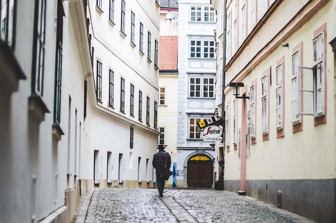 Private transfer from Salzburg to Vienna with 4h of Sightseeing - Melk and Durnstein along the Danube
