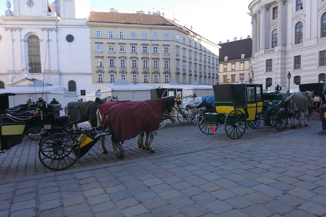 Private Transfer from Venice to Vienna or Vienna to Venice - A private link between Venice and Vienna