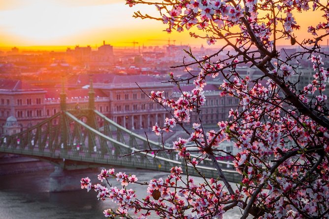 Private Transfer from Vienna to Budapest with 2 hours for sightseeing - Pannonhalma Archabbey: choose it for a focused visit