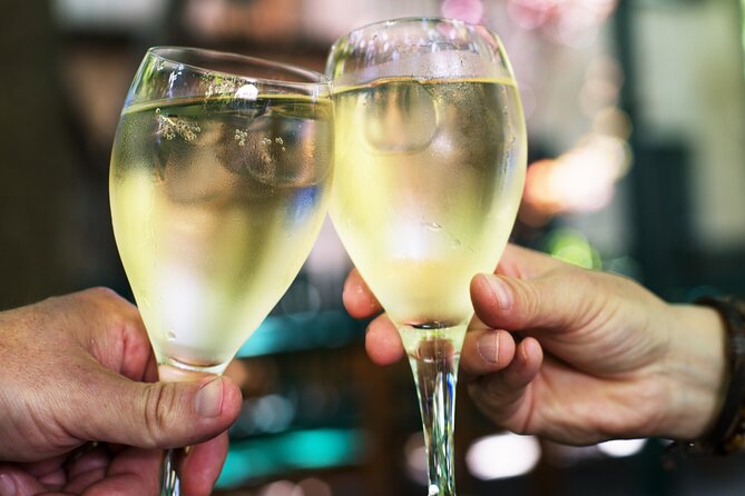 Private Vienna Wine Tour with Top Austrian Wines and Tapas - Key points to know before booking