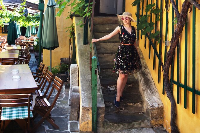 Private Vienna Wine Tour with Top Austrian Wines and Tapas - Viennese tapas with serious local flavor