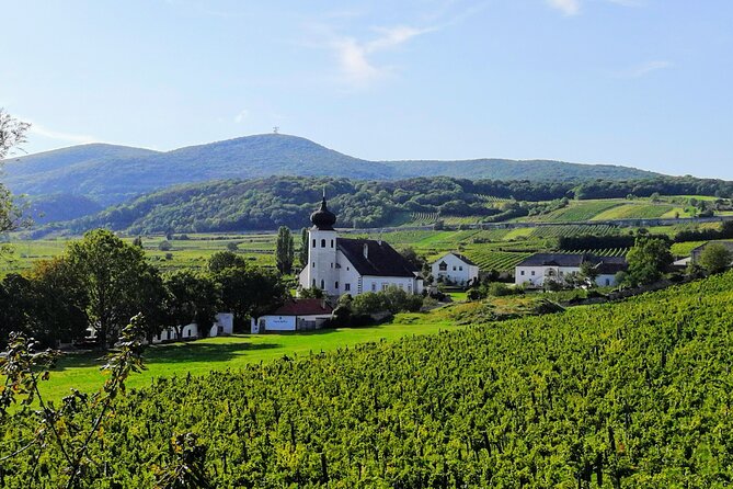 Private Vienna Woods Wine Tour - Winter: wine tradition without the long hike