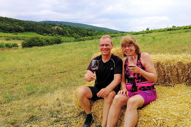 Private Vienna Woods Wine Tour - Gumpoldskirchen brings the best wine conversation