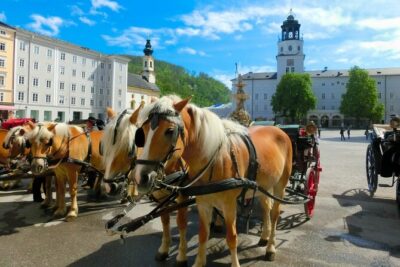Salzburg and Lake Region Private Day Trip from Vienna