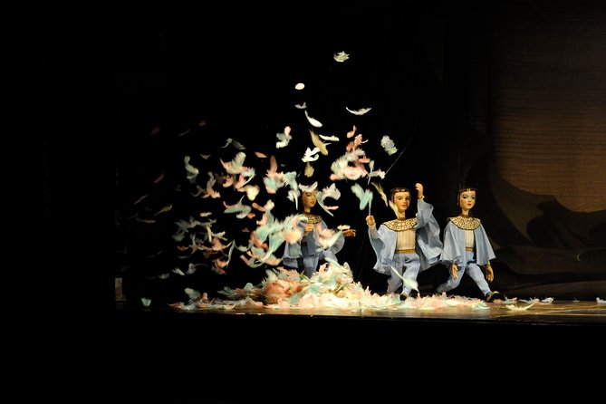 Salzburg Marionette Theater: The Magic Flute - Reasons to pause before booking