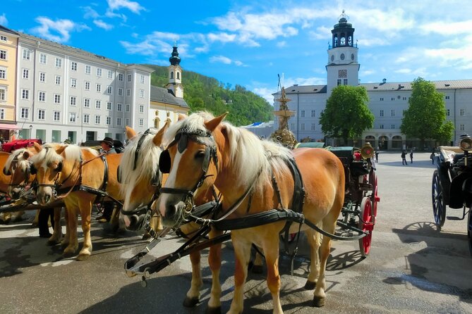 Salzburg: Small-Group Day Trip from Vienna - The Vienna Woods and the road west