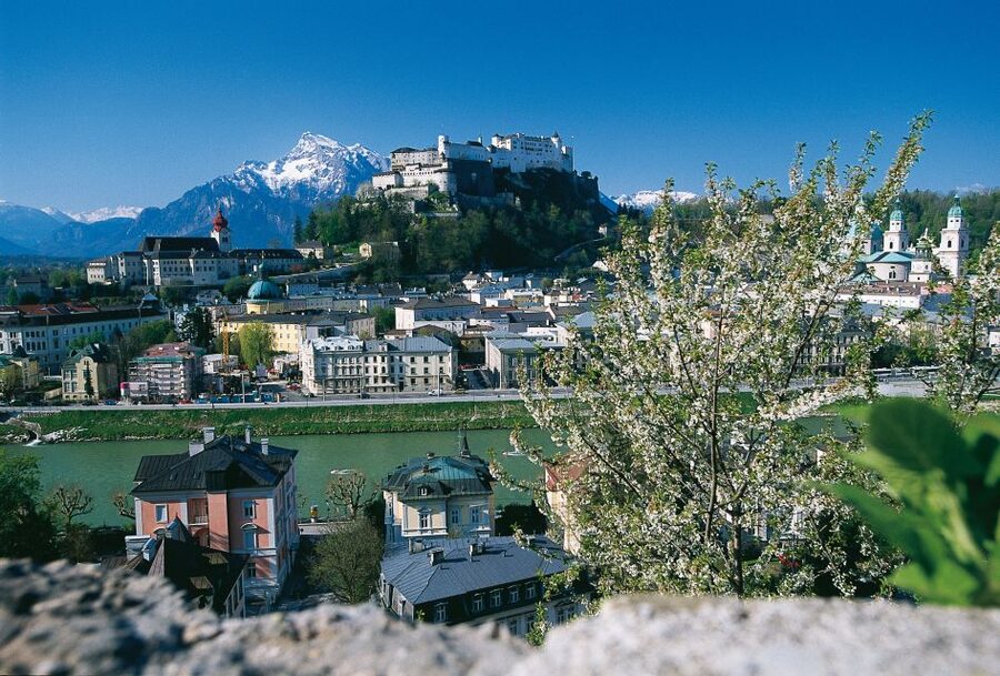 Salzburg: Sound of Music Private Half-Day Tour - Key points at a glance