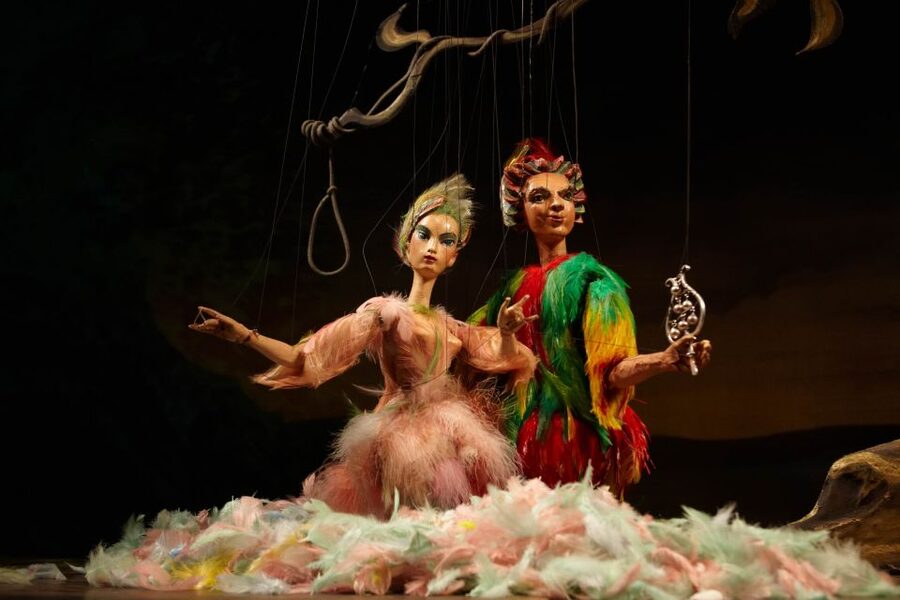 Salzburg: The Magic Flute at Marionette Theater Ticket - Following German Opera With Projected Explanations