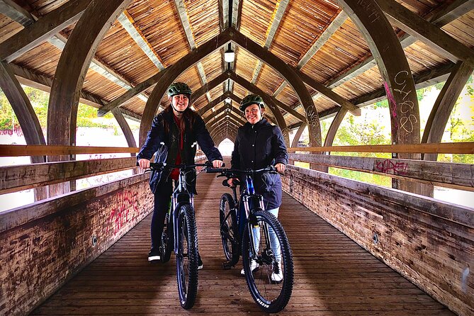 Scenic Innsbruck City and Mountain eBike Tour - Group size, price, and what you receive