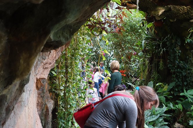 Schmetterlinghaus - Imperial Butterfly House Vienna Admission Ticket - Heat, humidity, and crowded paths