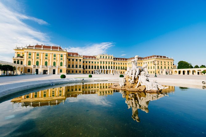Skip-the-Line Schonbrunn Palace Guided Tour and Vienna Historical City Tour - Crowds, buses, and walking demands