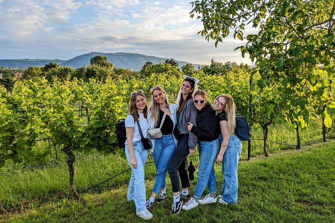 Small-group Vienna Wine Tour - Inside a traditional Heuriger