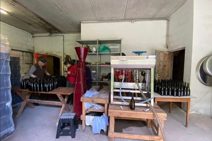 Taste and Tour Small Organic Wineries with a Winemaker - Practical booking details