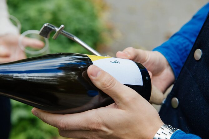 Taste and Tour Small Organic Wineries with a Winemaker - What $111 buys you