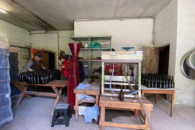 Taste and Tour Small Organic Wineries with a Winemaker - Starting at Bahnhofplatz 3 in Krems
