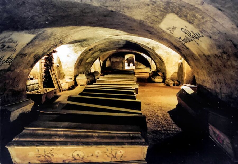 Vienna: 1.5-Hour Underground Walking Tour - Key points to know before booking