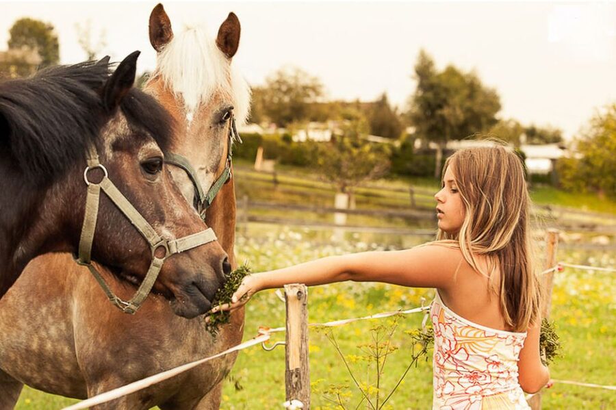 Vienna 1- or 2-Hour Professional Photo Shoot - Key points at a glance